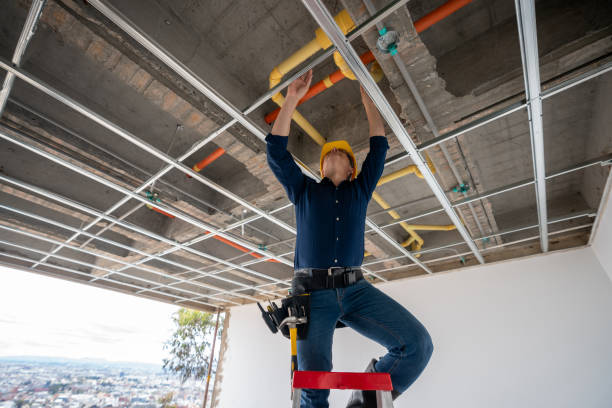 Best Best Plumbers Near Me  in Petaluma, CA