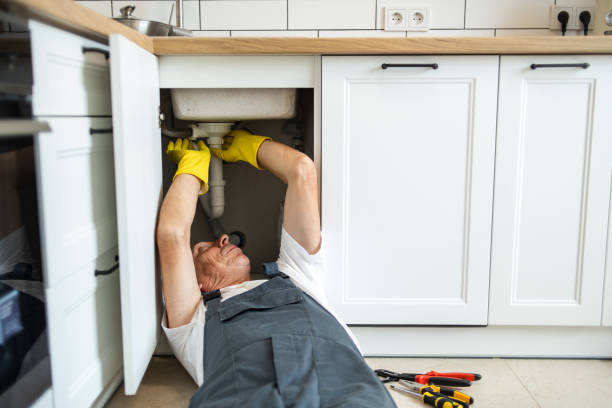 Best Plumbing Inspection Services  in Petaluma, CA